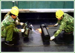 杭州旺旺家政公司 專業(yè)防水補漏服務(wù)與高清圖解