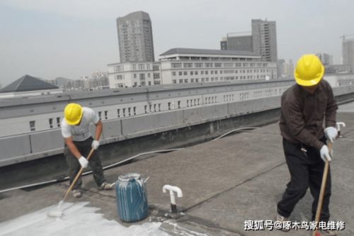 屋頂防水補漏不難，一招就解決